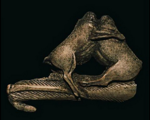 <p>Type</p>