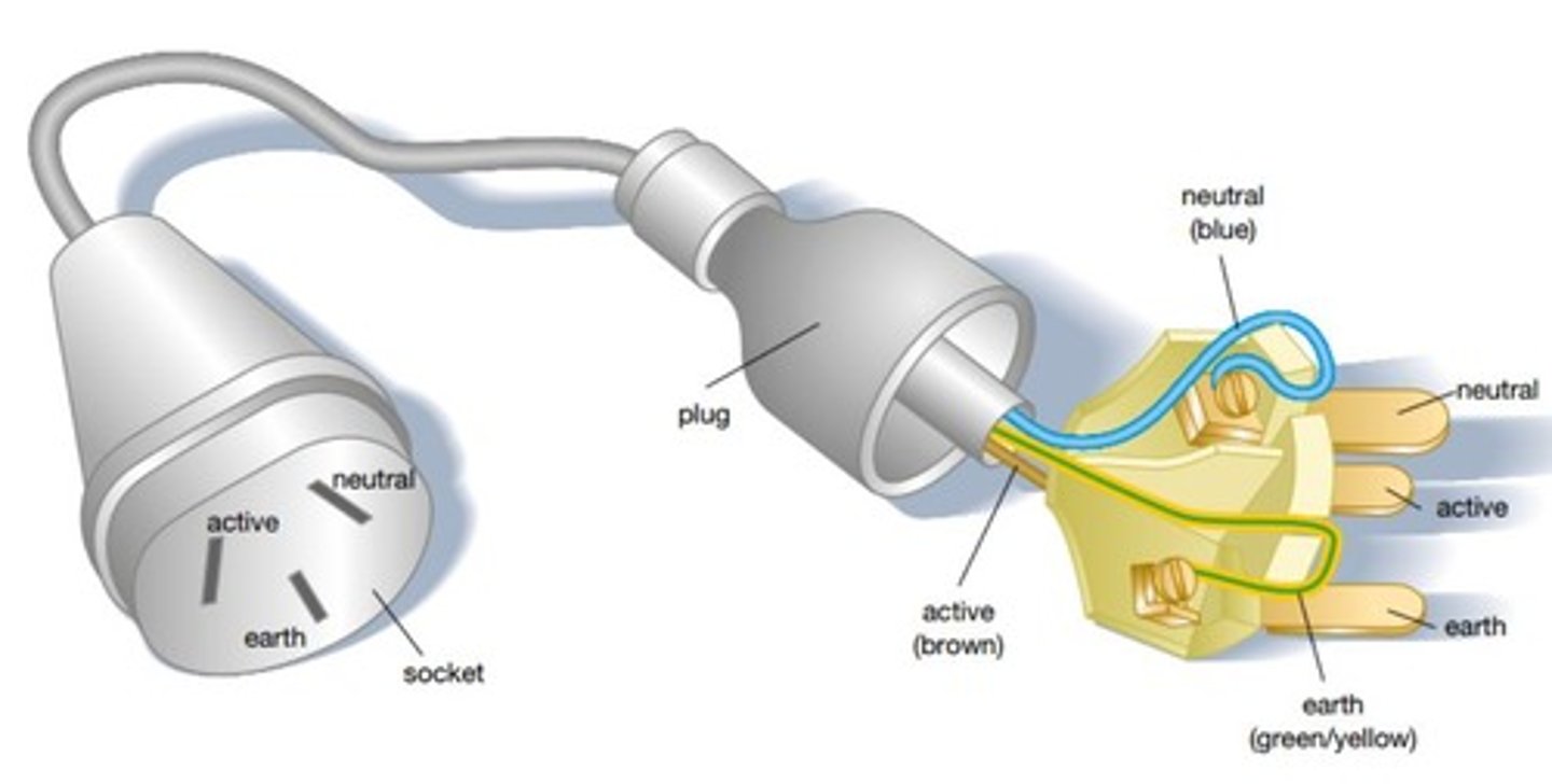 <p>is a safety device that prevents electrocution, typically green and yellow</p>
