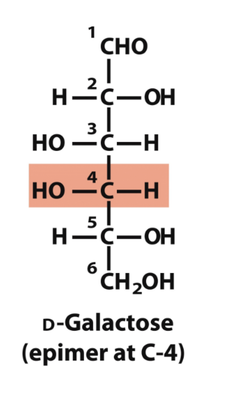 <p>what is the name of this structure? </p>