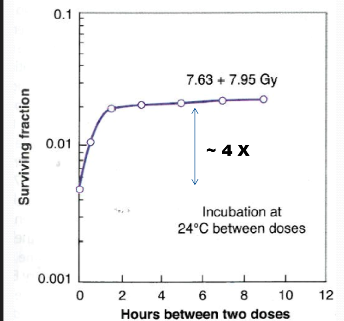 <p>what does this in vitro graph say?</p>