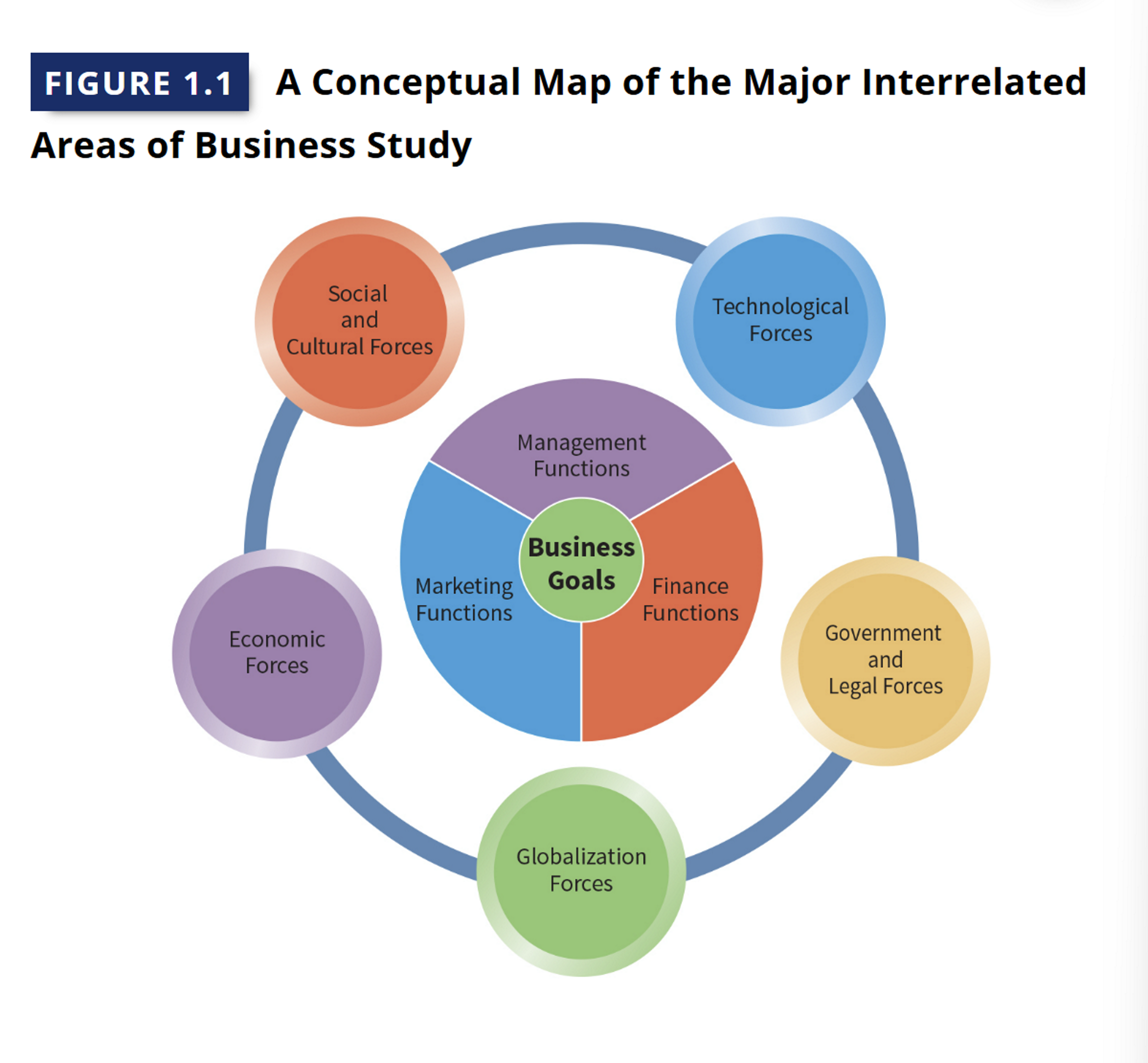 <p><strong>Management:</strong> planning organizing resources to achieve goals (sales, profits)</p><p><strong>Marketing:</strong>&nbsp;handling customers, building long term relationships, understanding concern and buying behavior</p><p><strong>Financial:</strong> accounting process, keeping financial records, documents for analysis and use, knowing product sales behavior is critical info with pricing</p>