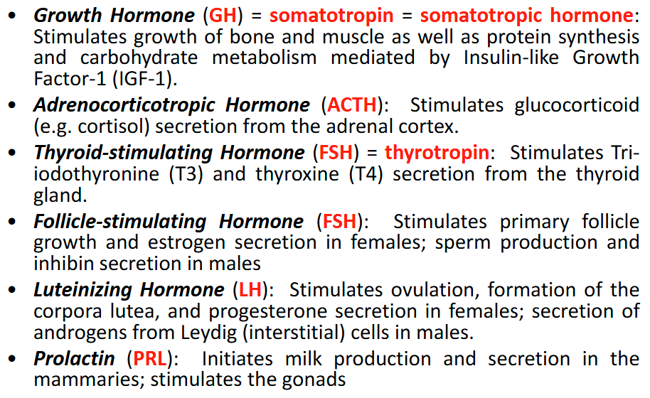 <p></p><ul><li><p>GH</p></li><li><p>ACTH</p></li><li><p>TSH</p></li><li><p>FSH</p></li><li><p>LH</p></li><li><p>PRL</p></li></ul><p></p>