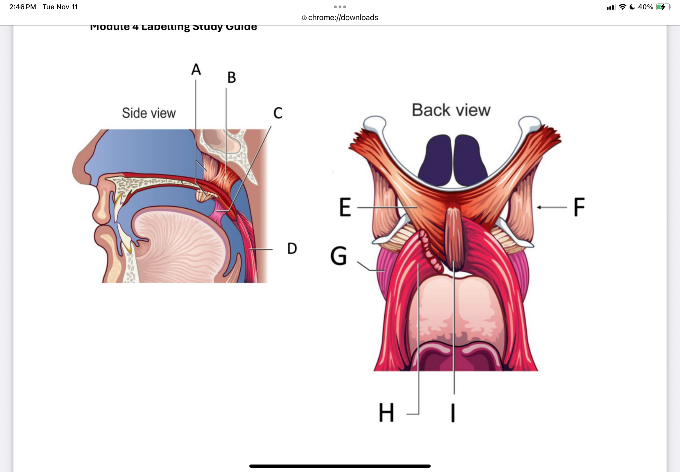 <p>Label A through I</p>