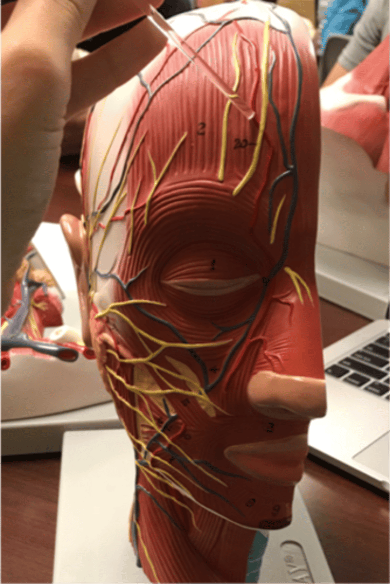 <p>What is this?</p>
