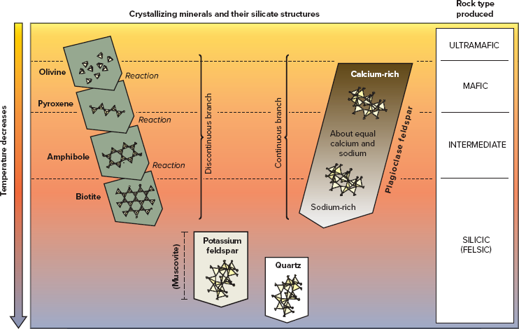 <p>Describe the differences between the continuous and the discontinuous branches of Bowen’s reaction series.</p>