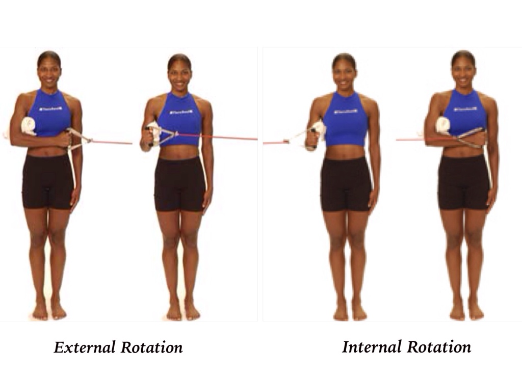 <p>medial and lateral rotation; bone must rotate along its long axis</p>
