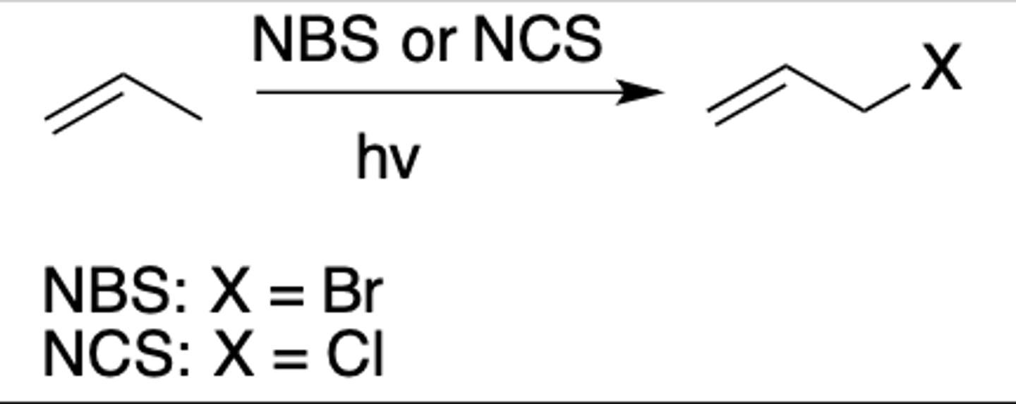 <p>Intermediate: Radical</p><p>Regiochemistry: N/A</p><p>Stereoselectivity: selectivity for most substituted double bond in product</p><p>Reagent(s): NBS or NCS over hv</p><p>- NBS: X = Br</p><p>- NCS: X = Cl</p><p>- Adds X to most substituted allylic carbon</p><p>*KNOW MECHANISM*</p>