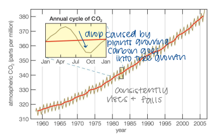 <p>How can we explain the annual cycle of atmospheric CO2?<br>A. CO2 is produced in Oct-Apr in boreal forests due to lots of decomposition<br>B. boreal forest growth in May-Sept fixes a lot of CO2 from the atmosphere<br>C. cycle is explained by the seasonal movement of the ITCZ each year<br>D. growing season in all biomes takes place between May-Sept</p>