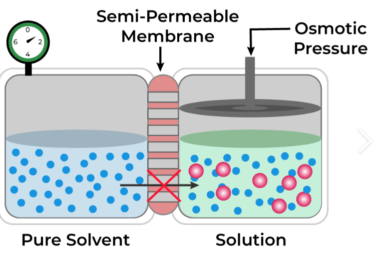 <table style="min-width: 25px;"><colgroup><col style="min-width: 25px;"></colgroup><tbody><tr><td colspan="1" rowspan="1" style="width: 239.4pt; border: 1pt solid windowtext; padding: 0in 5.4pt;"><p class="MsoNormal"><span style="font-family: "Open Sans", sans-serif;"><strong><span>Osmotic pressure </span></strong></span></p></td></tr></tbody></table><p></p>