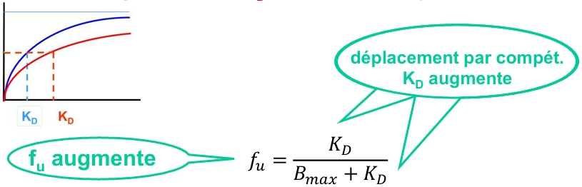 <p>lorsqu’on ajoute un compétiteur, il va gêner la liaison. La concentration libre requise pour occuper la moitié des sites de liaison est augmentée : le «Kd apparent» est augmenté</p><p>la fraction libre du médicament va donc augmenter</p>