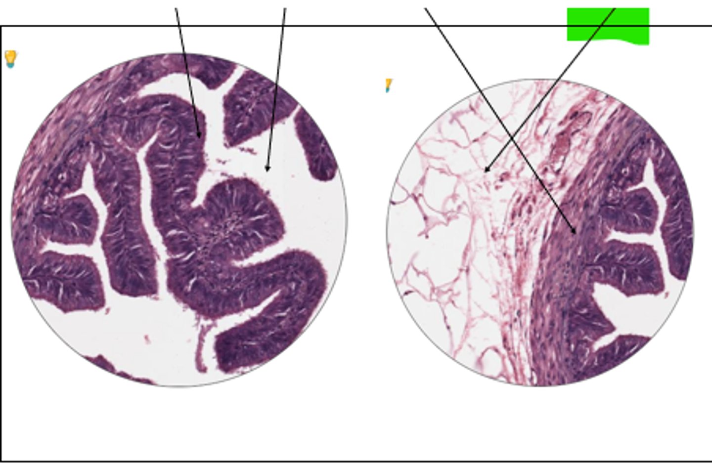 <p>part of structure and structure?</p>