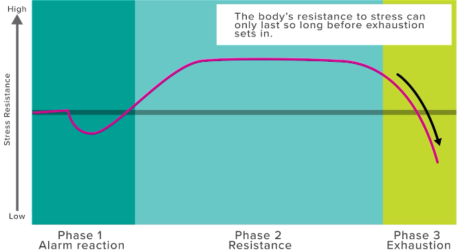 <p>What is this graph showing?</p>