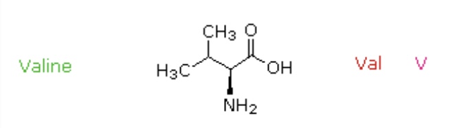 <p>Val, V</p>