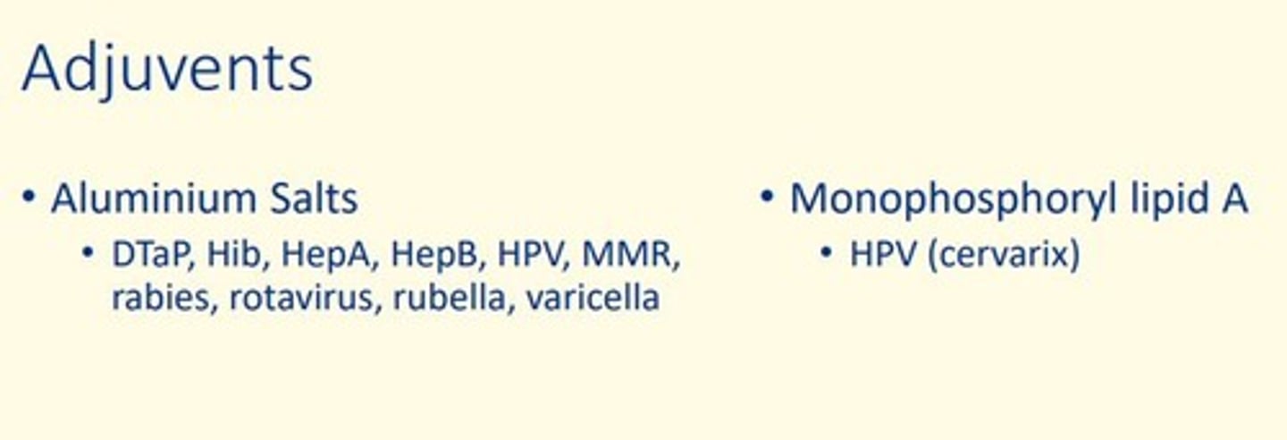 <p>A substance that enhances the body's immune response to an antigen.</p><p>Adjuvants are given together with vaccines to enhance the efficacy of the vaccine.</p><p>Vaccines prolong the stimulation of the immune response.</p><p>Adjuvants work by trapping the antigens in chemical complex &amp; releasing them slowly.</p>