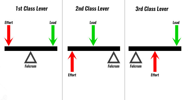 <p>A lever is a stiff bar that pivots (rotates) around a point called the fulcrum.</p><p>You push on one end with an effort force (FE) to move something on the other end called the load, which pushes back with a load force (FL).</p><p>Two important distances on a lever:</p><p>Effort arm (dE): distance from the fulcrum to where you apply the effort.</p><p>Load arm (dL): distance from the fulcrum to the load.</p><p>Levers are divided into three classes, depending on the position of the load, effort force, and the fulcrum. </p><p></p>