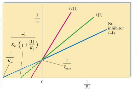 <p>What inhibition is shown? What makes you say that (distinct characteristic in this graph which is lineweaver burk, which is Lineweaver-Burk)? </p>