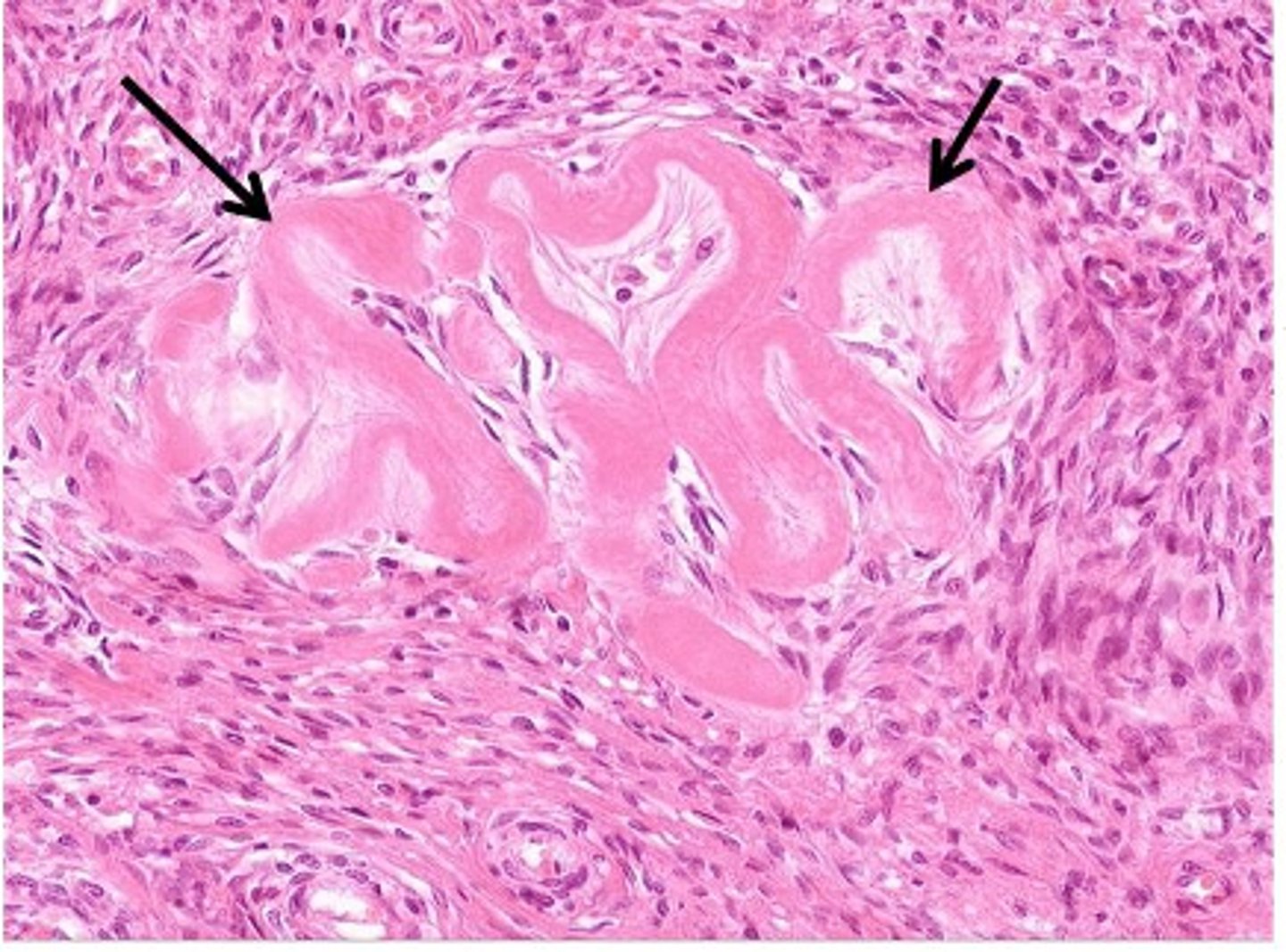 <p>ID the structure:</p>