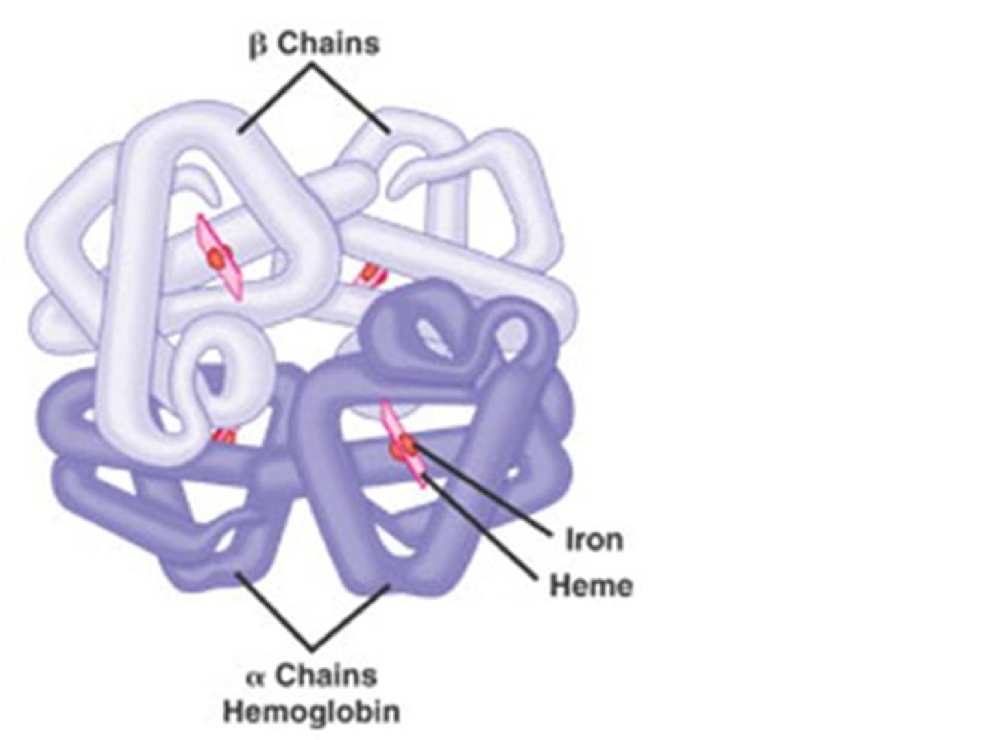 <p>The overall protein structure that results from the aggregation of two or more polypeptide subunits.</p><p>-same bonds as tertiary</p>