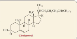 <p>Lipid Forms</p>