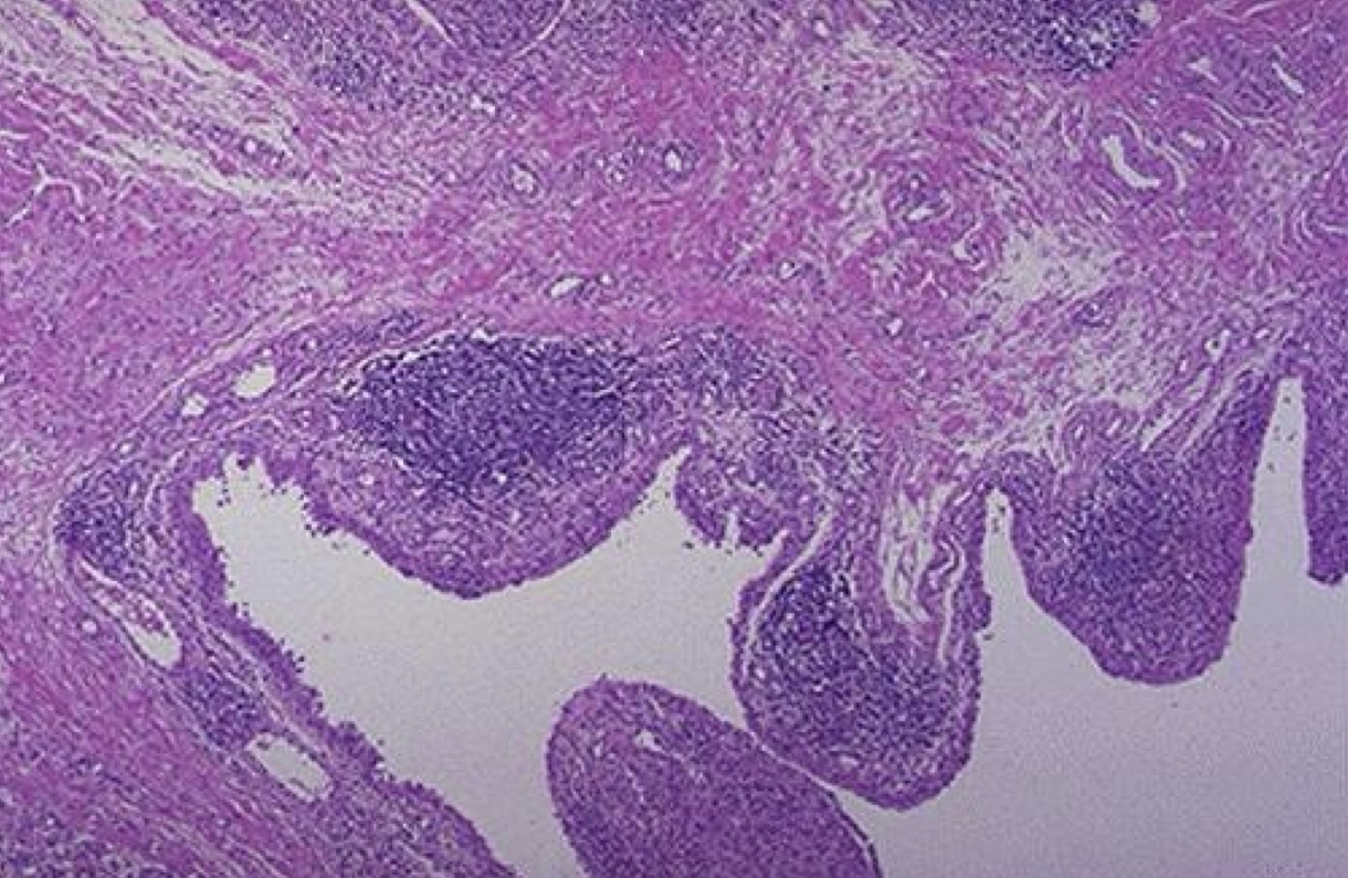 <p>A- identify</p><p>B- describe</p><p></p>