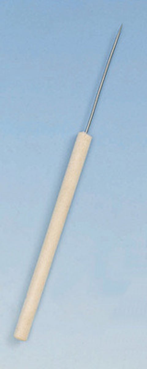 <p>A needle mounted in a wooden or metal handle that is used to impale a food source and hold it over a bunsen burner</p>