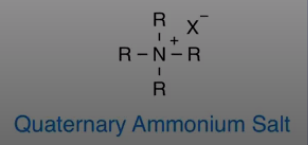 <p>nitrogen atom bonded to 4 atoms giving nitrogen a pos formal charge</p><p>could interact with halogen</p>