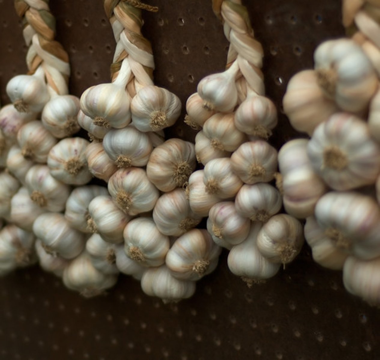 <p>garlic</p>