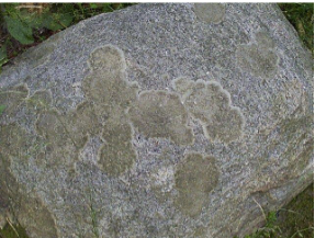 <p>?</p>
