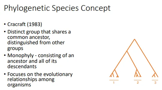 <ul><li><p>this concept is useful because it focuses on the <strong>evolutionary relationships</strong> between distinct species</p></li><li><p>this can also be applied to fossils and asexual organisms</p></li></ul><p>however:</p><ul><li><p>a very <strong>high resolution</strong> of the phylogenetic tree is needed</p></li><li><p><strong>taxonomic inflation</strong>- there is a tendency for the number of distinct species to continually increase with each new paper published, because it is hard to draw the lines, and each species could keep being divided up further and further (subjective)</p></li></ul><p></p>