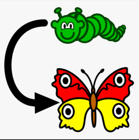 <p>To become</p>