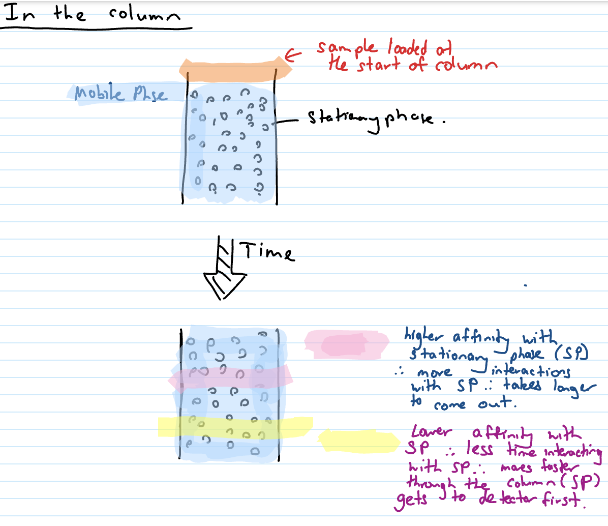 <p>samples loaded at start of column (stationary phase is beads in pic)</p>