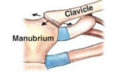 monaxial, slight linear motion

Example: sternoclavicular and acromioclavicular joints, intercarpal and intertarsal joints, vertebrocoastal joints, and sacro-iliac joints