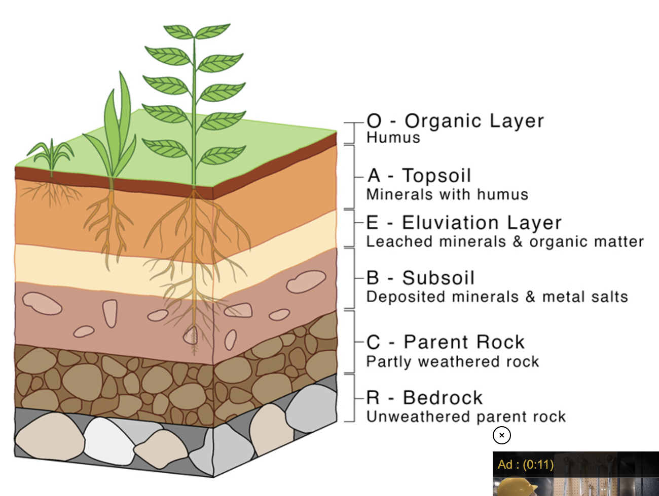 <p>are layers of soil that differ in composition, texture, and color, typically including the O (organic), A (topsoil), E (eluviation), B (subsoil), and C (parent material) horizons. </p>