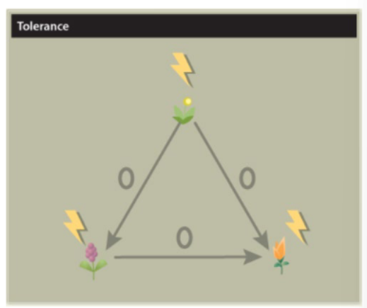 <p>Tolerance</p>