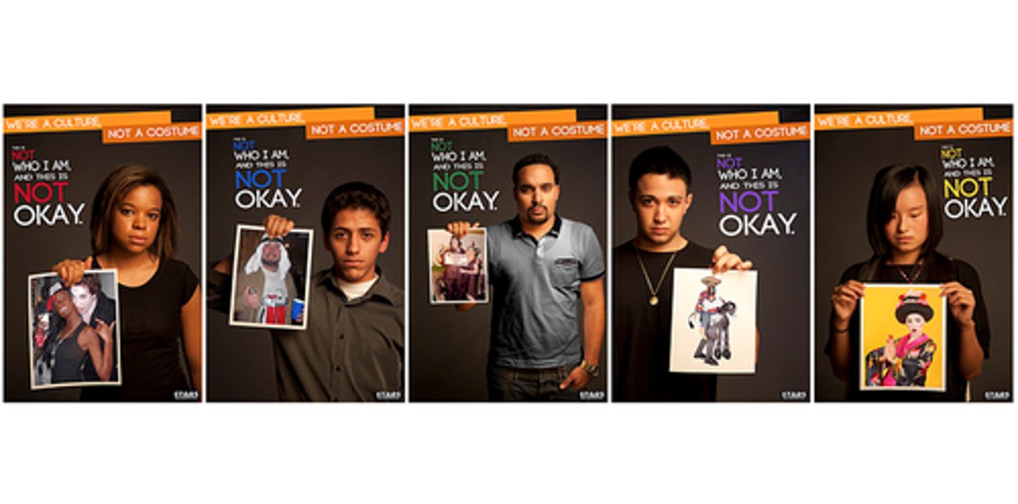 <p>The adoption of cultural elements belonging to an oppressed group by members of the dominant group, without permission and often for the dominant group's gain</p>