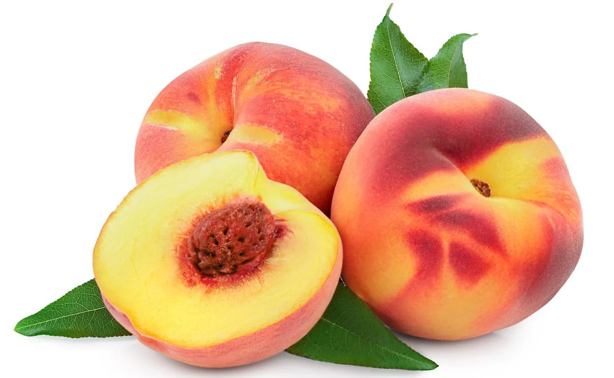 <p>El melocotón </p>