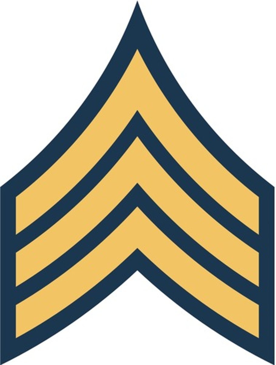 <p>Sergeant</p>