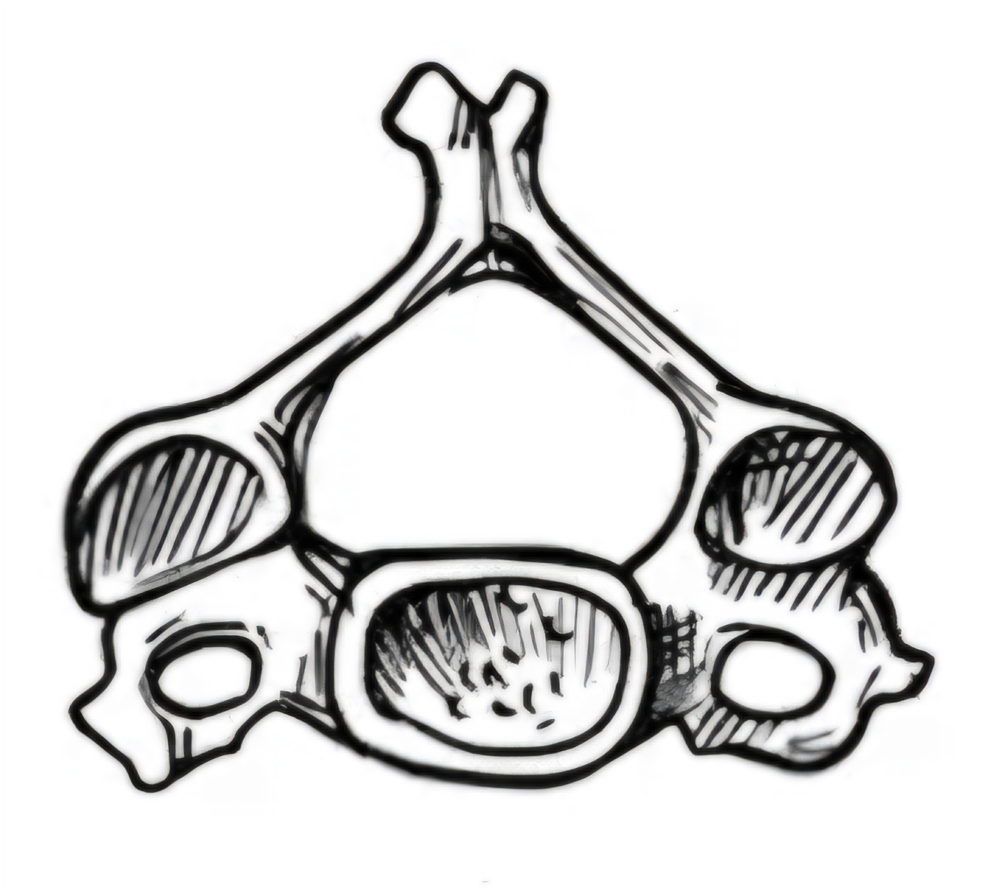 <p>Jaký je tohle obratel?</p>