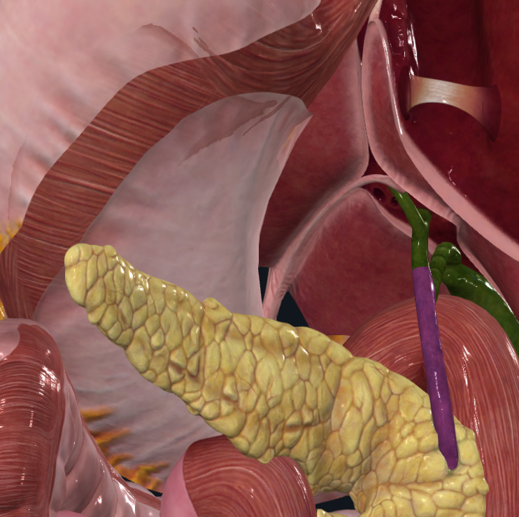 <p>What is highlighted</p>