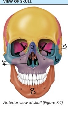 <p>#4</p>
