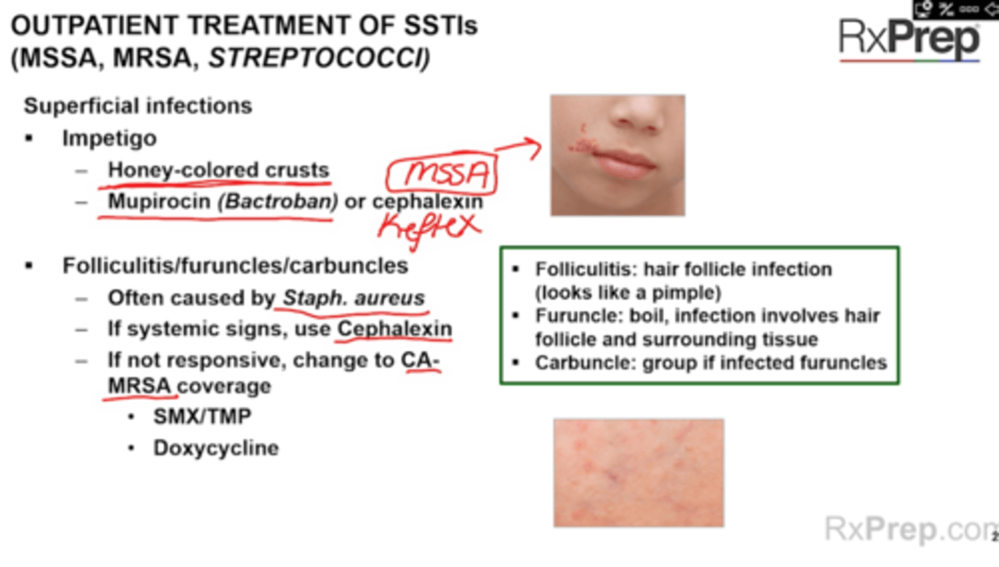 <p>Want oral for these MSSA SSTI</p><p>Impetigo</p><p>Folliculitis furuncles carbuncles</p>