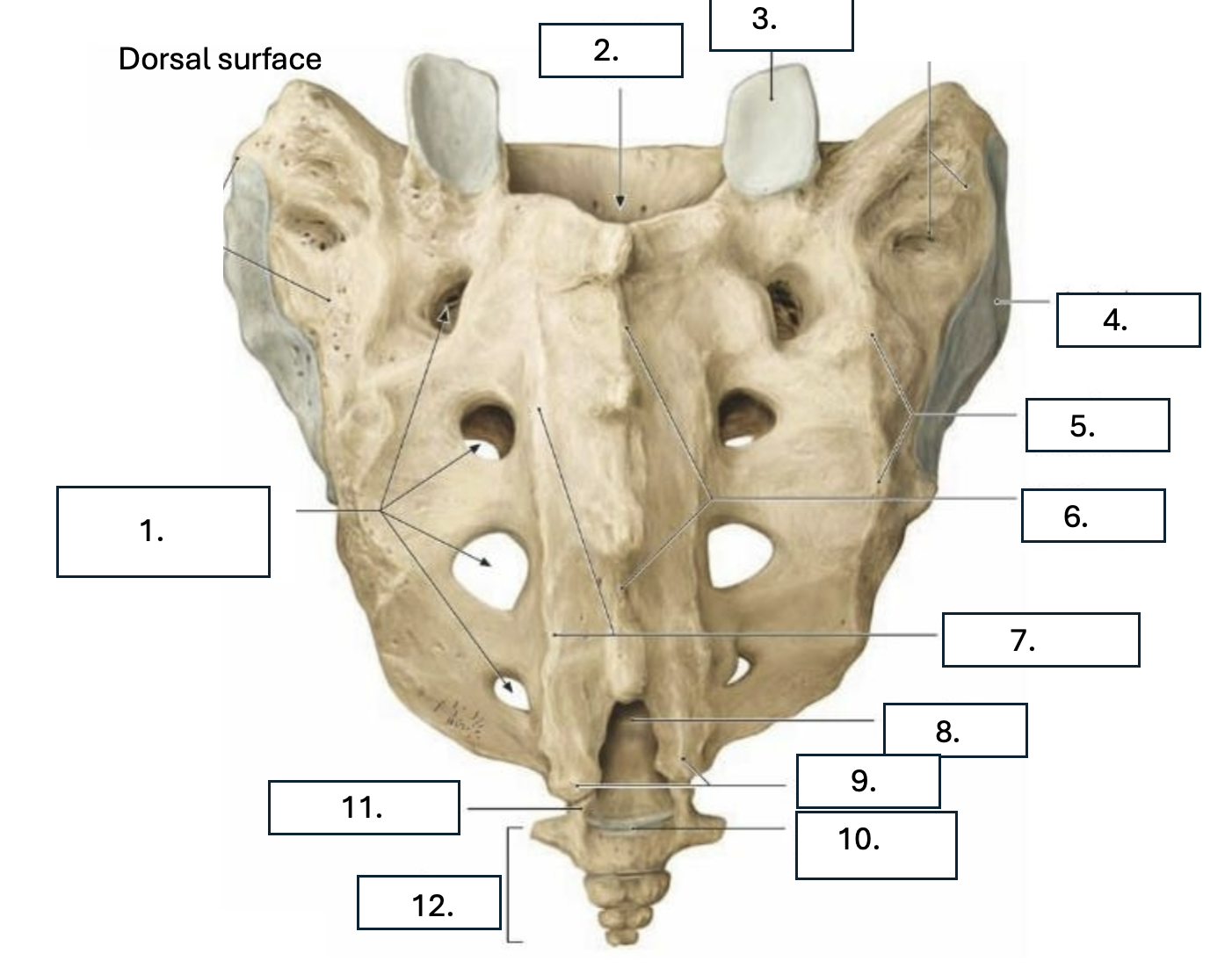 <p>What is number 3?</p>