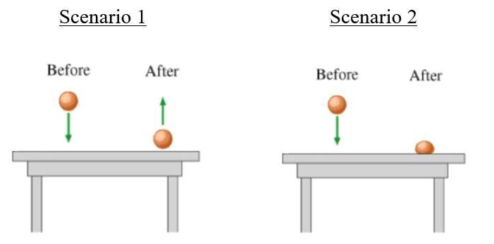 <p>Moving vertically, two objects of the same mass strike a flat tabletop at the same speed, as shown above.  However, in Scenario 2 the object stops when it hits the table, and in scenario 1, the object bounces off the table with an equal speed in the opposite direction.  Which of the following statements is true about the change in momentum of the two objects?</p>