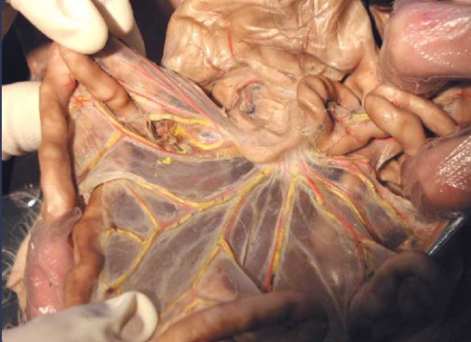 <p>What is shown in the image?</p>
