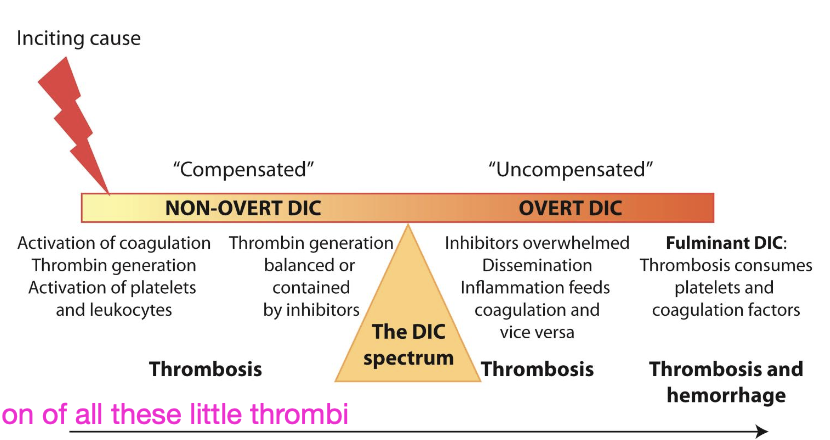 <p>an acquired hypercoagulable syndrome, always secondary to underlying disease (GI dz, septic process, renal dz, trauma, neoplasia, hemolytic anemia)</p>