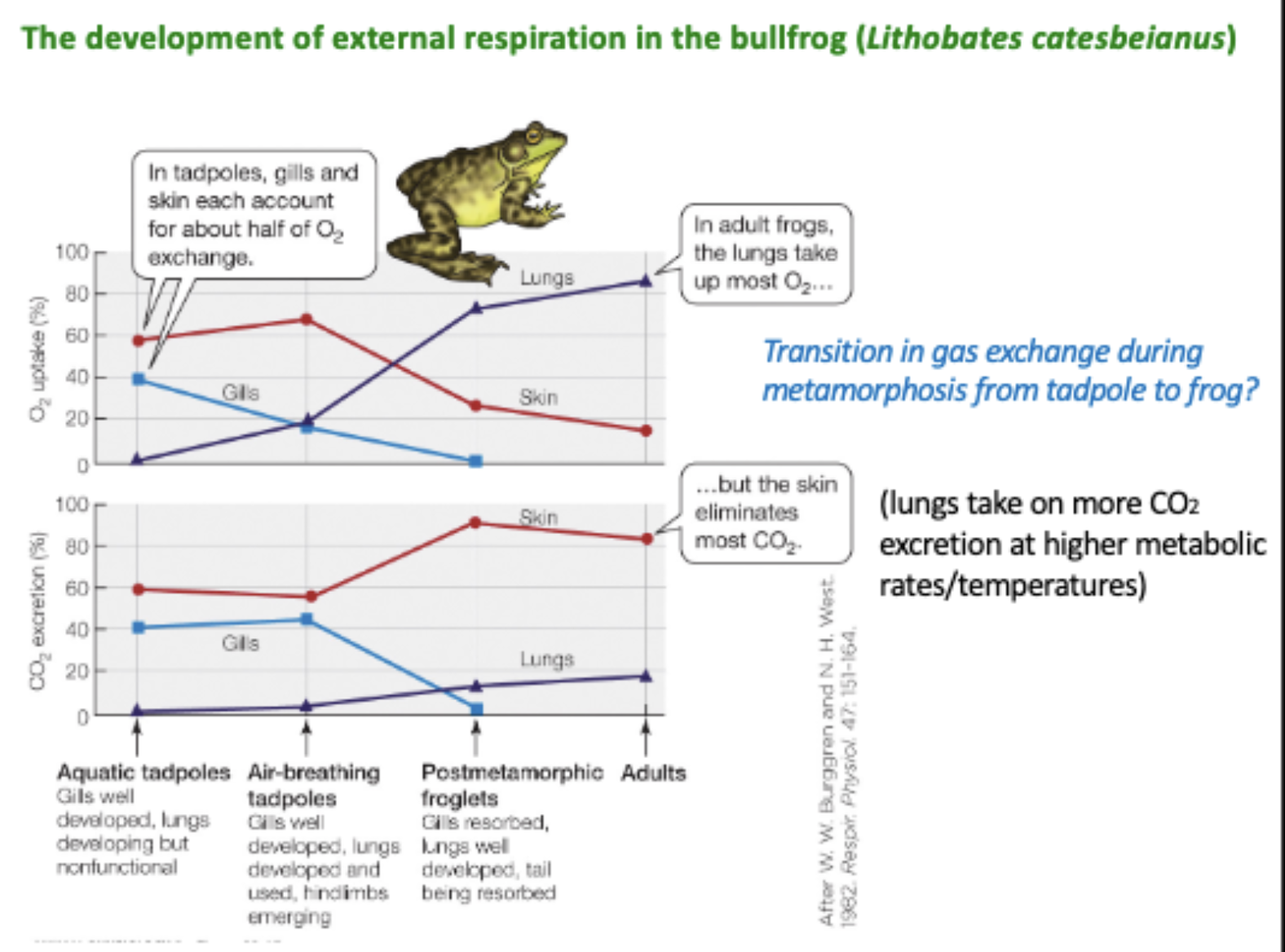 <p>what are the main takeaways from these graphs?</p>