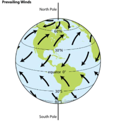 <p>Name the prevailing winds </p>