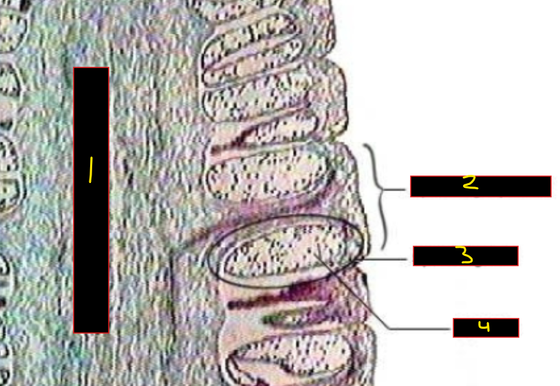 <p>What is 1? </p>