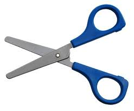<p>scissors (masc)</p>