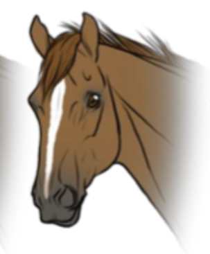 <p>What facial marking is this?</p>